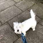 catherine_phillips1000 - Instagram Profile Picture of catherine_phillips1000 (@catherine_phillips1000) on Instagram