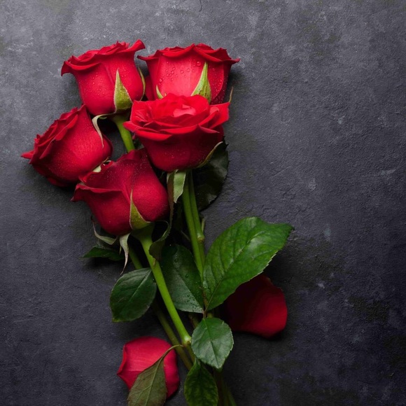 Deeba Hashimi - Poshmark Profile Picture of Deeba Hashimi (@deebahashimi) on Poshmark