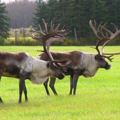 Profile Picture of Kris Iverson (@IversonKris) on Twitter