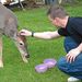 Profile Picture of Scott Sitterly (@scottsitterly) on Pinterest