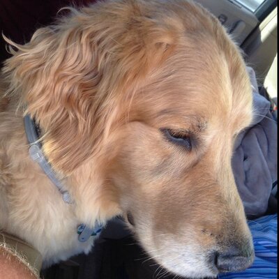 Profile Picture of Joe Jender (@mojoemo) on Twitter