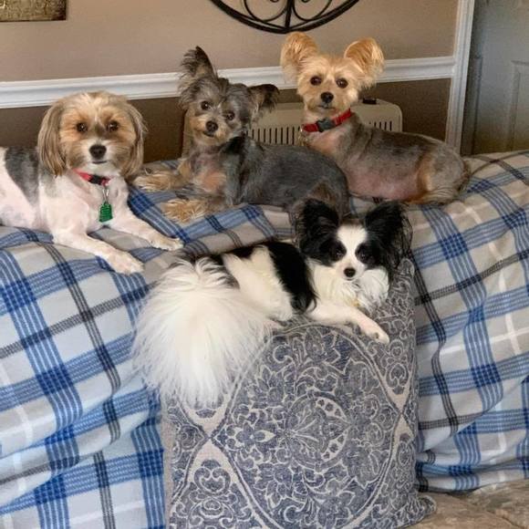 Profile Picture of Joy Greer (@joyanngreer) on Poshmark