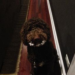 Profile Picture of Matt Mixter (@matt_mixter) on Twitter