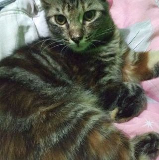 Profile Picture of Maya Isma Hermawan (@maya.i.hermawan) on Facebook