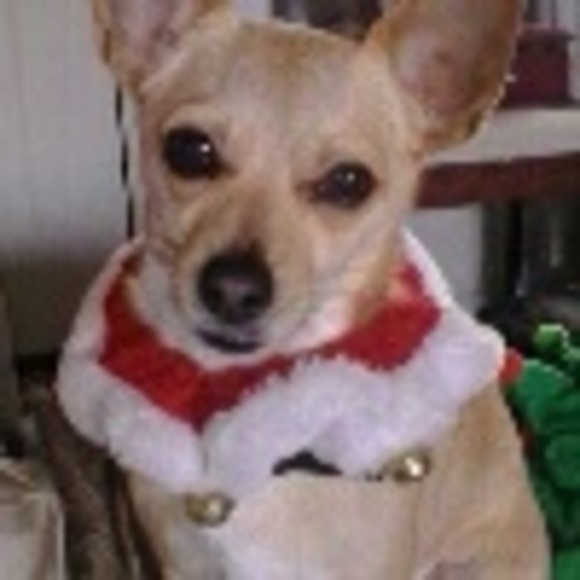 Profile Picture of S Oldridge (@something4guys) on Poshmark