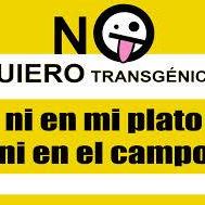 Profile Picture of Erick Tonsmann (@Erick-Tonsmann) on Facebook