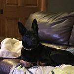 Kim Greenwald-Mitchell - Instagram Profile Picture of Kim Greenwald-Mitchell (@kimgreenwald) on Instagram