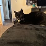 Profile Picture of Ryan Everitt (@Ryan-Everitt) on Facebook