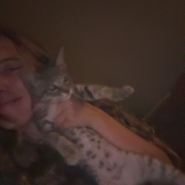 Profile Picture of Lorena (@spam_account22006) on Tiktok