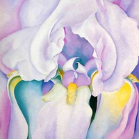 Profile Picture of Flavia Maria Calvi (@flavia-maria-calvi) on Quora