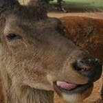 Profile Picture of Duncan Hart (@duncan.hart) on Instagram