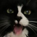 Don Boos Tattoos - Instagram Profile Picture of Don Boos Tattoos (@donboostattoos) on Instagram