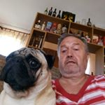 Profile Picture of Predrag Stevanović (@predrag.stevanovic.140) on Instagram