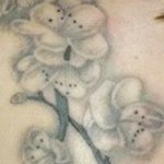 Profile Picture of Lynn Weaver (@lynn.weaver.589) on Instagram