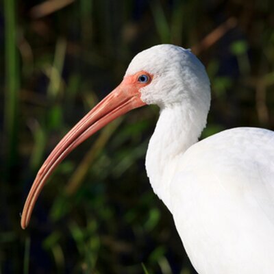 Profile Picture of Stephen McGaughey (@CoralGablesView) on Twitter