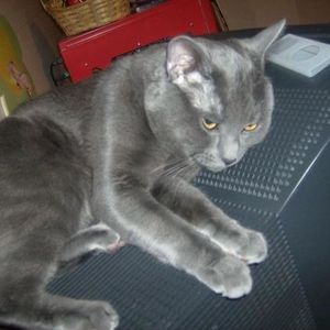 Profile Picture of Johnathan Brock (@jthegenious) on Myspace