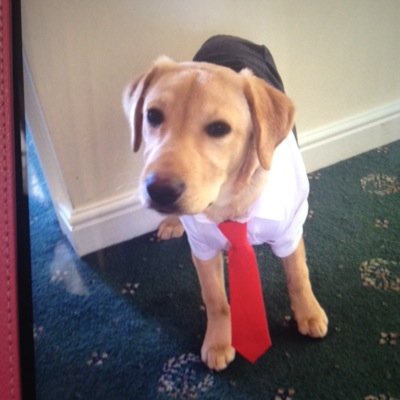 Richard Harriman - Twitter Profile Picture of Richard Harriman (@Rich_b_harriman) on Twitter