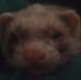 Profile Picture of Darwin Parker (@darwin.parker.14) on Facebook
