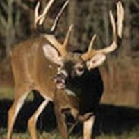 Profile Picture of Steven Valenti (@steven-valenti-11) on Quora