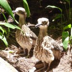 Profile Picture of Mark Pettit (@_mark_pettit_) on Instagram