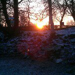 Profile Picture of robinfriedrich (@robinfriedrich) on Instagram