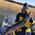 Profile Picture of Tommy Lindgren (@tommy.lindgren78) on Instagram