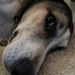 Profile Picture of Ralph Hawkins (@murkvoid) on Pinterest
