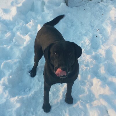 Profile Picture of Jeff Clanton (@jeffclan58) on Twitter
