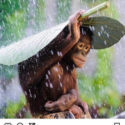 Profile Picture of Tim Warner (@TimWarn57096200) on Twitter