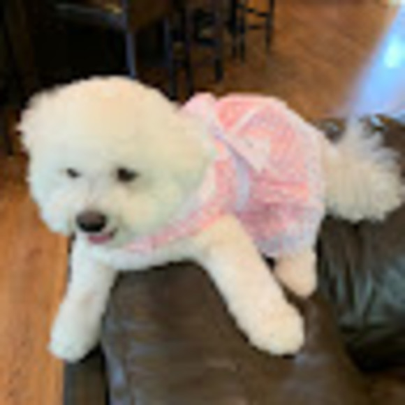 Profile Picture of Siri Sydow (@sirisydow) on Poshmark