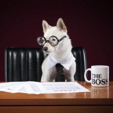 Profile Picture of Carmen Maria Mullins (@CarmenMMullins) on Twitter