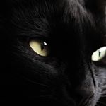 Profile Picture of Bells (@bells_quinn) on Instagram