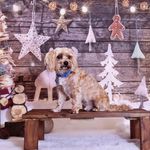 Profile Picture of Joe McCloskey (@joe.mccloskey.526) on Instagram