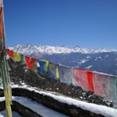 Profile Picture of Phyllis Mitchell (@jeffpkf) on Twitter