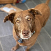 Profile Picture of Nancy Leonard (@nancyleonard4957) on Youtube