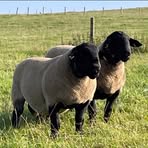 Profile Picture of Andrew Pate (@andrew.pate.9277) on Facebook