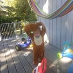 Profile Picture of Sandra Ann (@sandymackey12) on Instagram