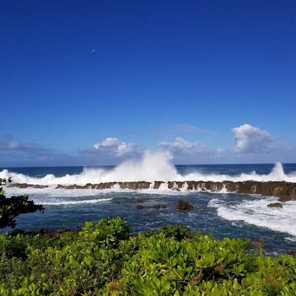 Profile Picture of Eric Hannah (@mehannah316) on Poshmark