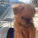 Profile Picture of nancyrosshunt (@nancyrosshunt) on Instagram