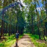 Profile Picture of Tobias Ohlenforst (@ohle121) on Instagram