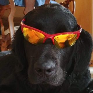 Profile Picture of John McQuade (@john.mcquade.399) on Facebook