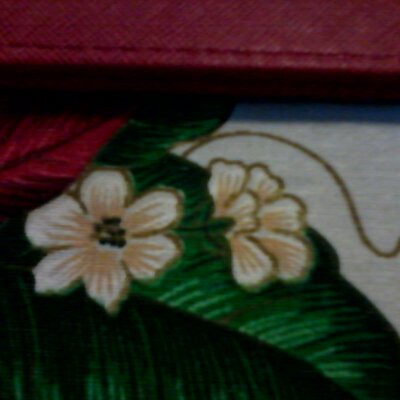 Profile Picture of Josefina Rodrguez Go (@go_rodrguez) on Twitter