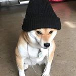 𝕋𝕠𝕞𝕒𝕤 𝕡𝕒𝕕𝕚𝕝𝕝𝕒 - Instagram Profile Picture of 𝕋𝕠𝕞𝕒𝕤 𝕡𝕒𝕕𝕚𝕝𝕝𝕒 (@tom.ssjj) on Instagram