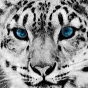 Profile Picture of John Metcalf (@johnmetcalf9801) on Youtube