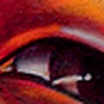 Profile Picture of Roger Campbell (@rogercpedals) on Flickr