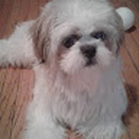 Profile Picture of Frances Riggs (@frances-riggs-8) on Quora