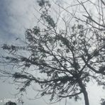 Profile Picture of Ella Dan'z (@Ella-Danz) on Facebook