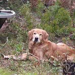 Profile Picture of Gordon Lennon (@gordon.lennon.16) on Facebook