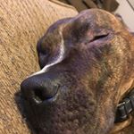 Profile Picture of David Hiebert (@david.hiebert.355) on Instagram