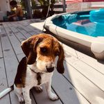Profile Picture of Jim Gillespie (@jim.gillespie.12) on Instagram